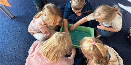 Powiększ grafikę: wycieczka-do-okm-morskie-skarby-gr-viii-muszelki-649143.jpg