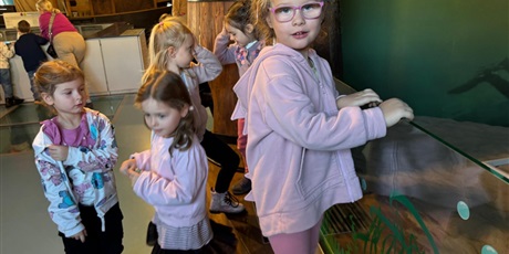 Powiększ grafikę: wycieczka-do-okm-morskie-skarby-gr-viii-muszelki-649149.jpg