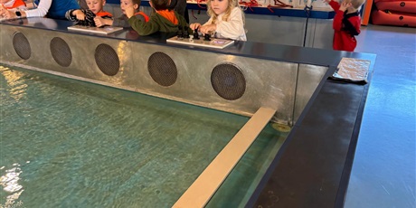 Powiększ grafikę: wycieczka-do-okm-morskie-skarby-gr-viii-muszelki-649154.jpg