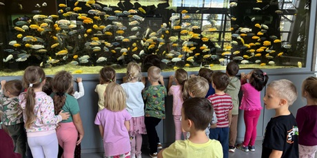Powiększ grafikę: wycieczka-na-uniwersytet-gdanski-wydzial-biologii-i-zwiedzanie-ekspozycji-gr-viii-muszelki-638476.jpg