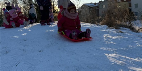 Powiększ grafikę: zabawy-na-sniegu-669429.jpg