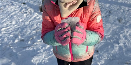 Powiększ grafikę: zabawy-na-sniegu-669441.jpg