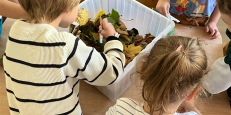 Zabawy z jesiennymi liśćmi - gr VII - Bursztynki