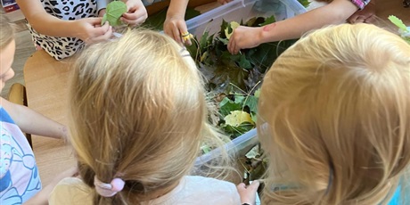 Powiększ grafikę: zabawy-z-jesiennymi-liscmi-gr-vii-bursztynki-644778.jpg