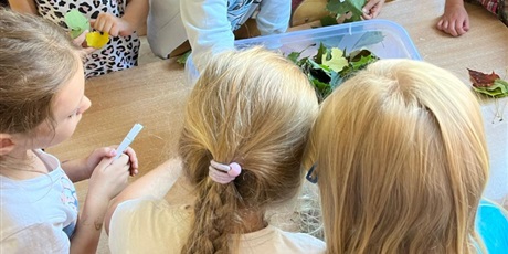 Powiększ grafikę: zabawy-z-jesiennymi-liscmi-gr-vii-bursztynki-644779.jpg