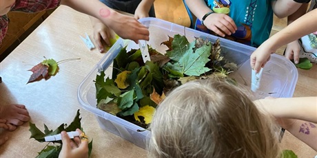 Powiększ grafikę: zabawy-z-jesiennymi-liscmi-gr-vii-bursztynki-644780.jpg