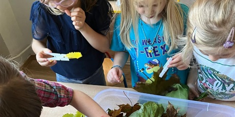 Powiększ grafikę: zabawy-z-jesiennymi-liscmi-gr-vii-bursztynki-644781.jpg