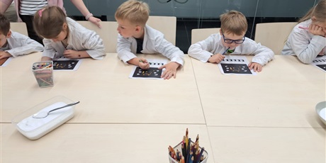 Powiększ grafikę: zajecia-edukacyjne-w-muzeum-bursztynu-gr-vi-delfinki-625322.jpg