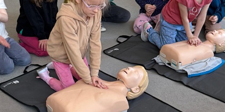 Powiększ grafikę: zajecia-z-pierwszej-pomocy-gr-vi-koniki-morskie-684550.jpg