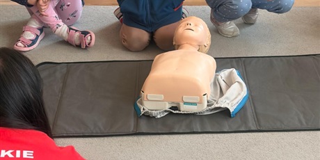 Powiększ grafikę: zajecia-z-pierwszej-pomocy-gr-vi-koniki-morskie-684555.jpg